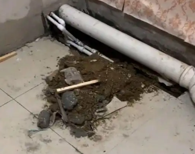 南陵卫生间漏水检测哪家好